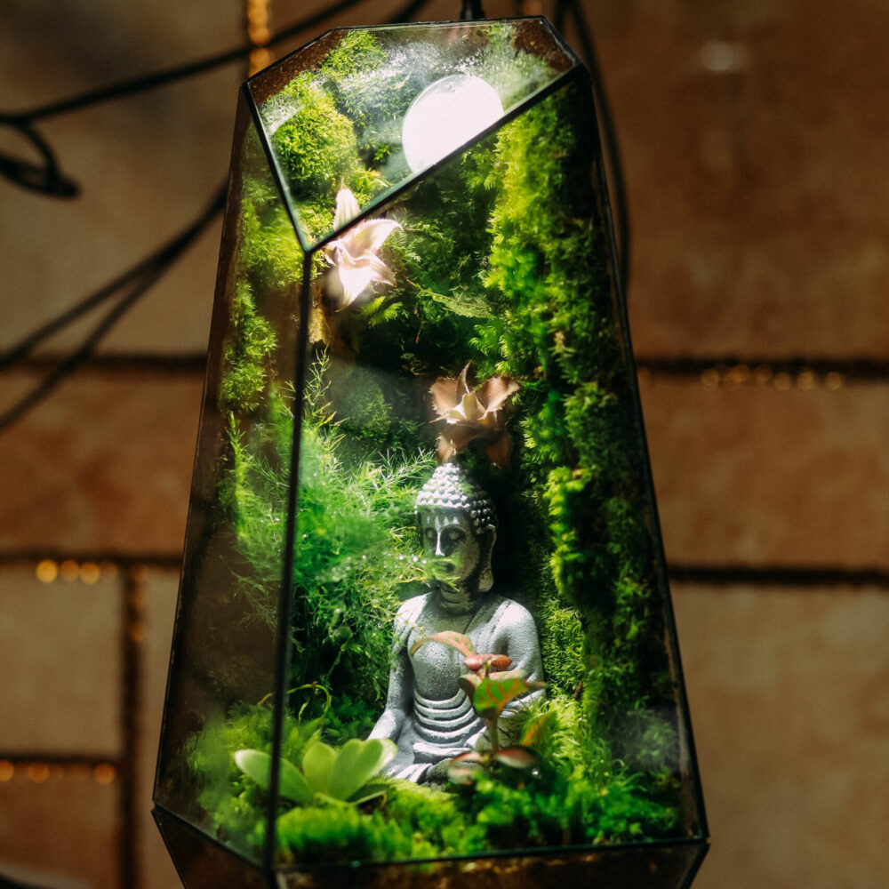 Phật Thiền D01M