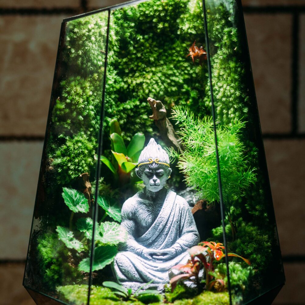 Ngộ Không Tĩnh D19