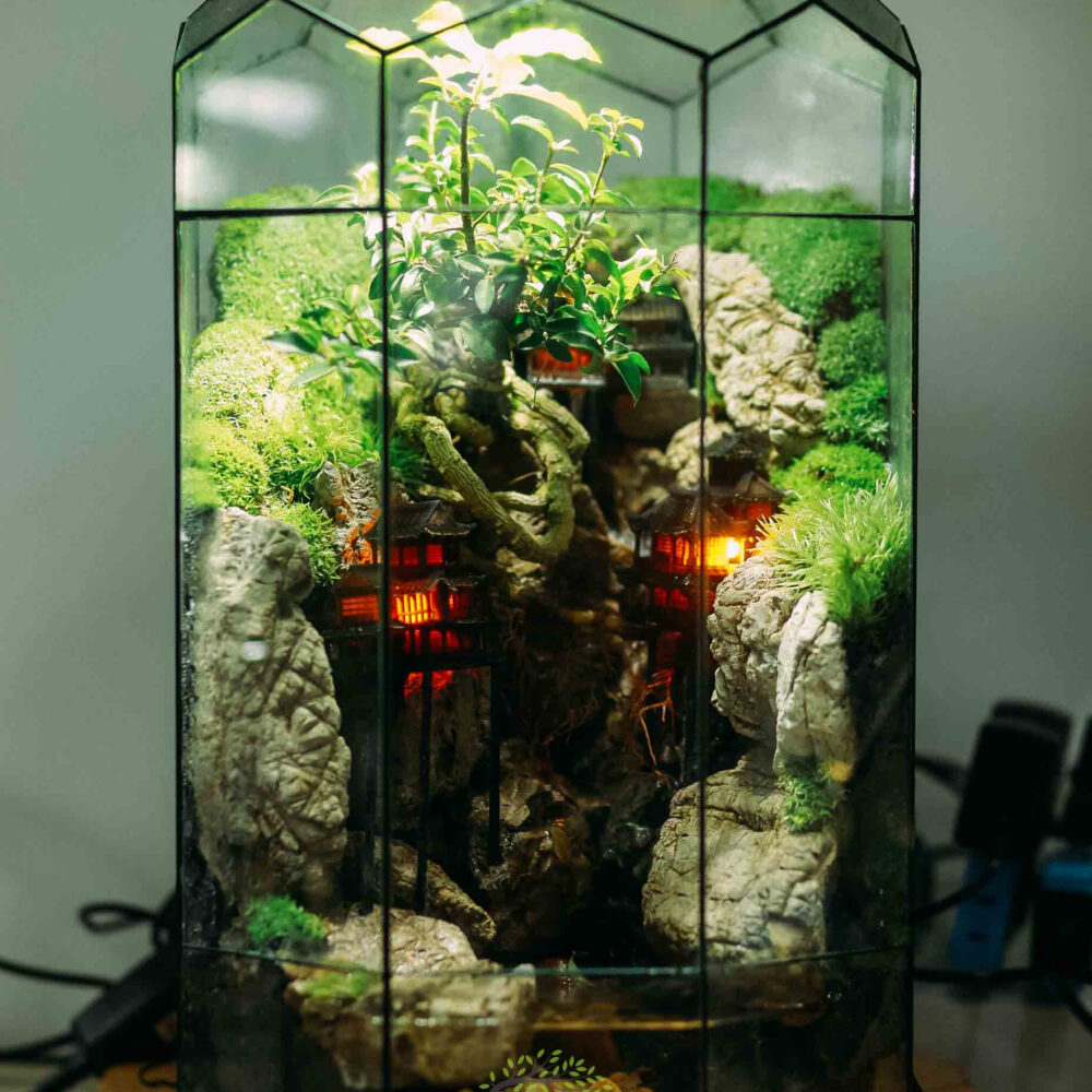 Cổ Trấn D39