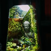 BỂ TIỂU CẢNH PHẬT GIÁO
