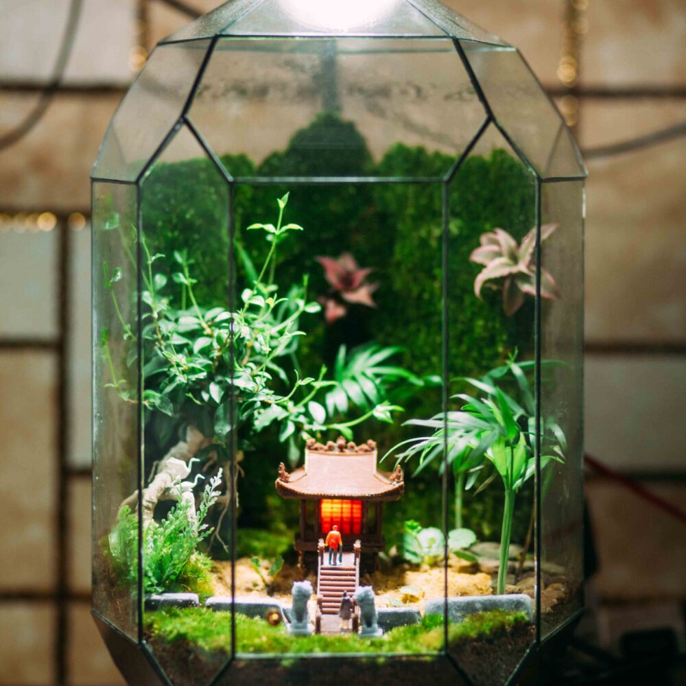 Chùa Một Cột D38