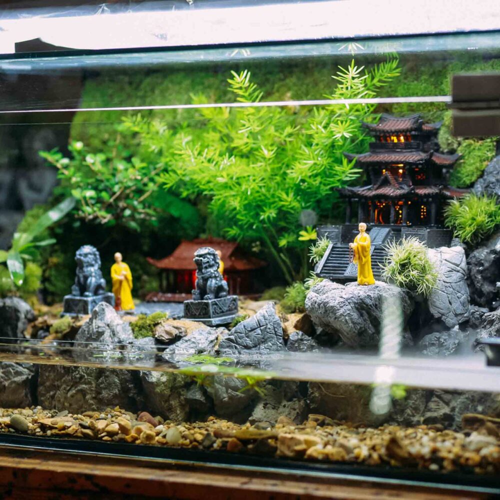 Tiểu Cảnh Bồng Lai 50cm