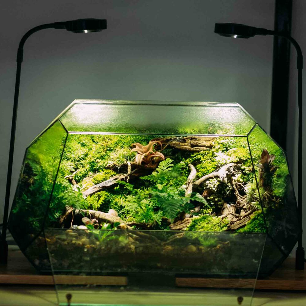 Natural Bus 40cm