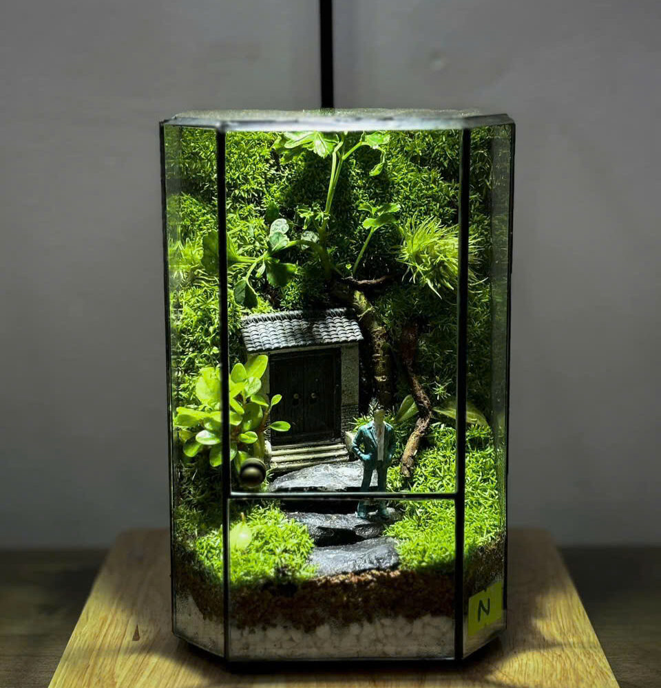 Nhà Nhỏ Trong Rừng