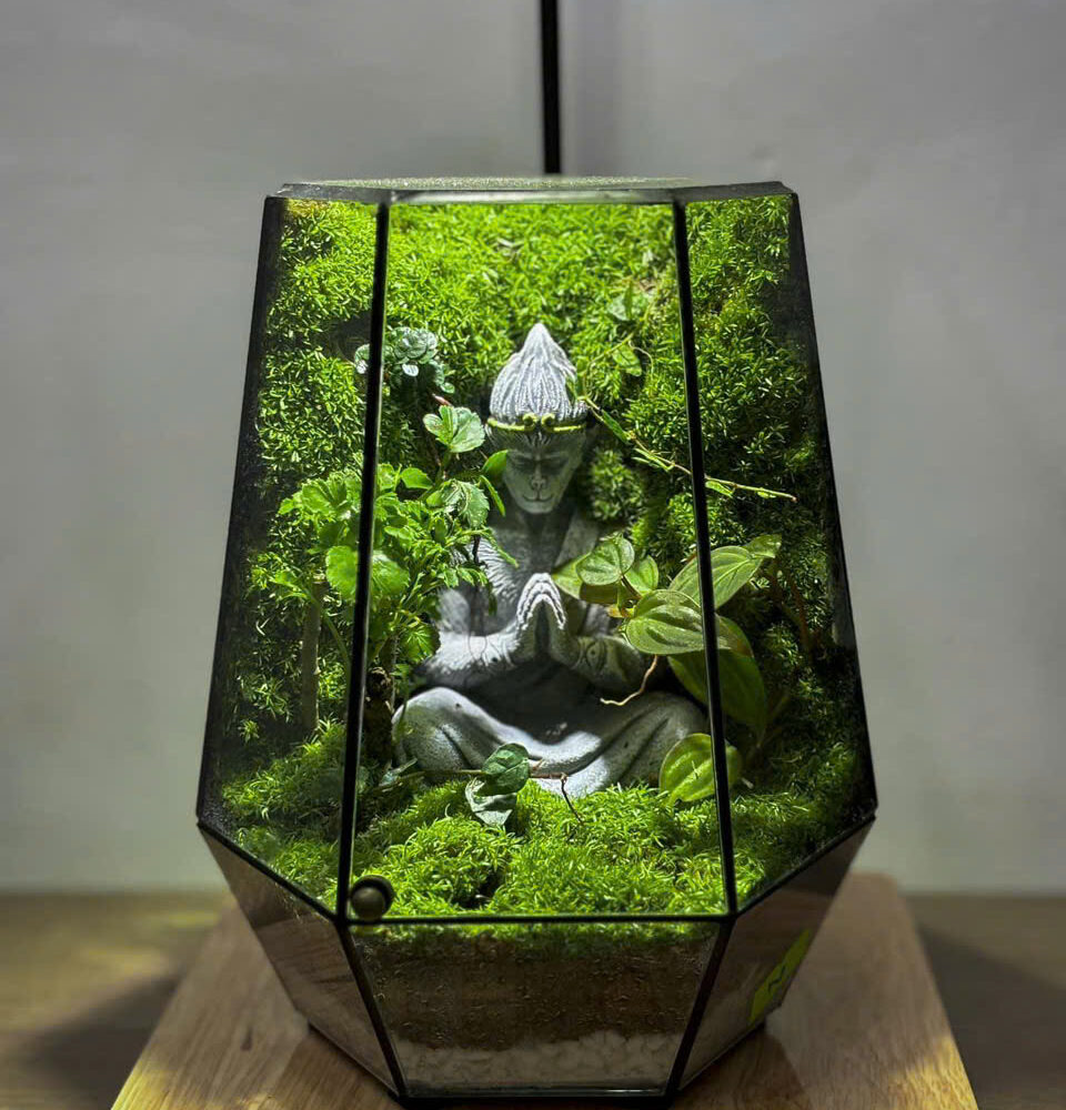 Wukong thiền