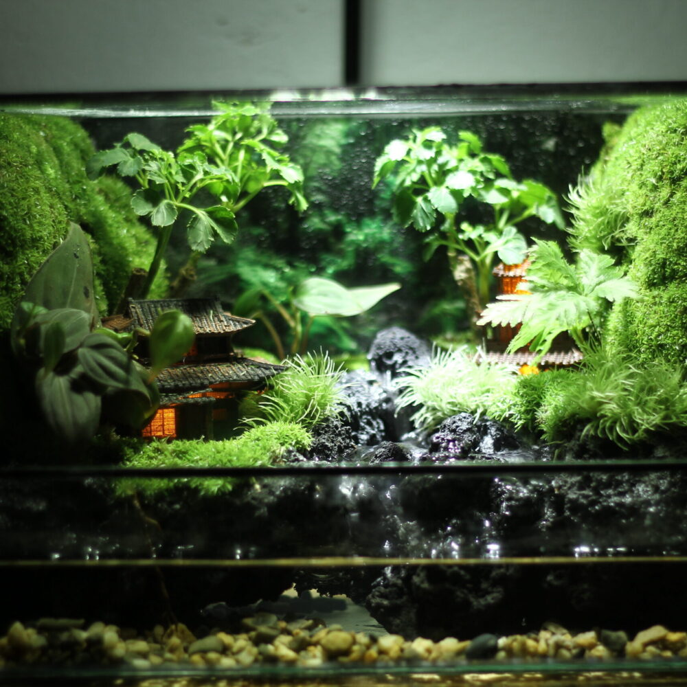Ancient town paludarium 25x20x20cm