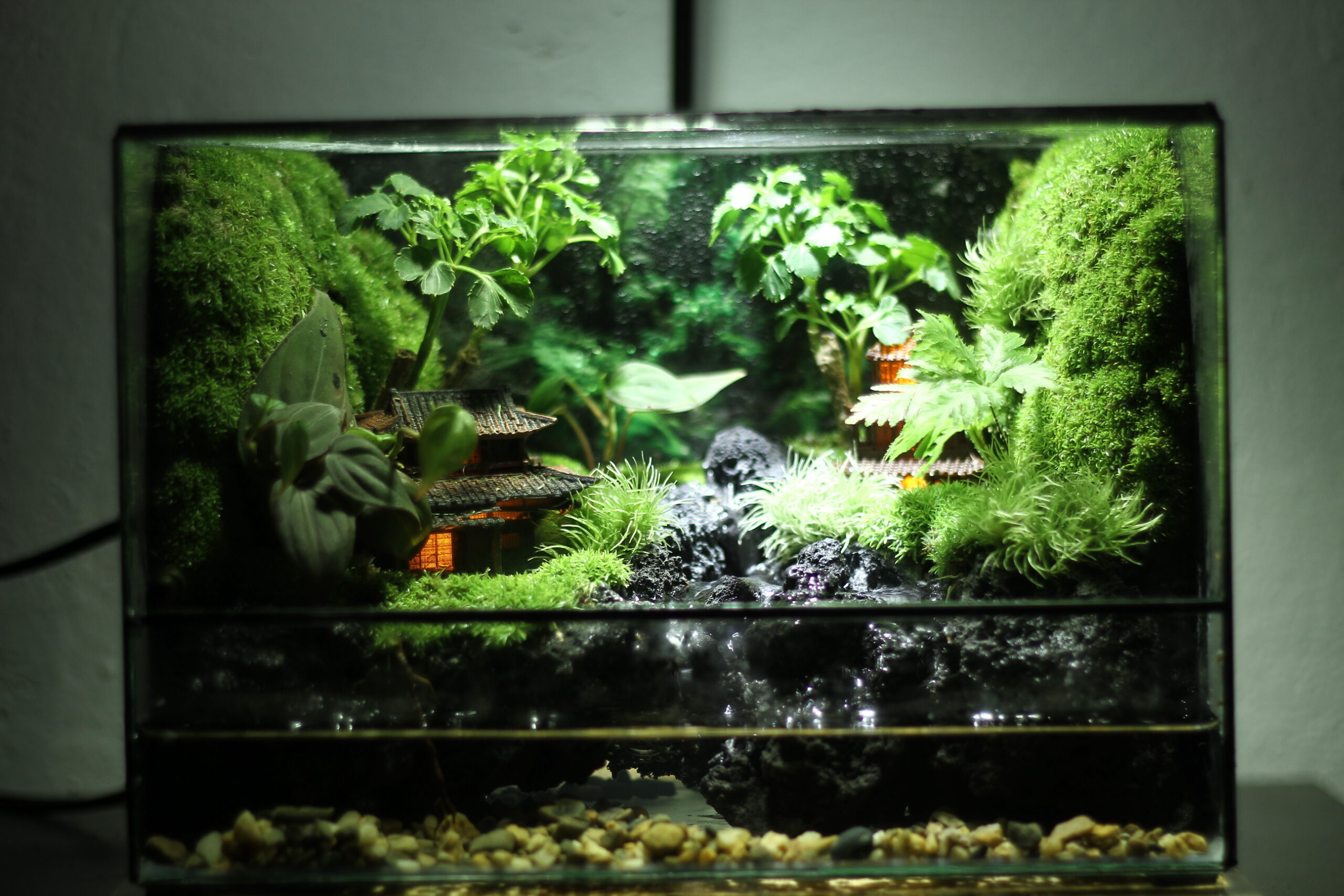 Ancient town paludarium 25x20x20cm