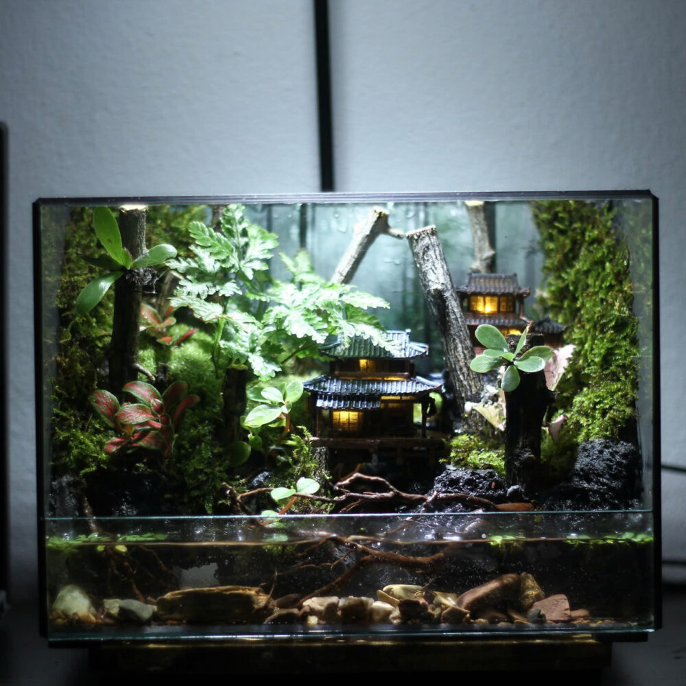 Bán Cạn Cổ Trấn Tank 25x20x20cm