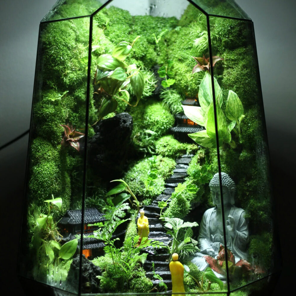 Buddha Tank 28x28x43cm