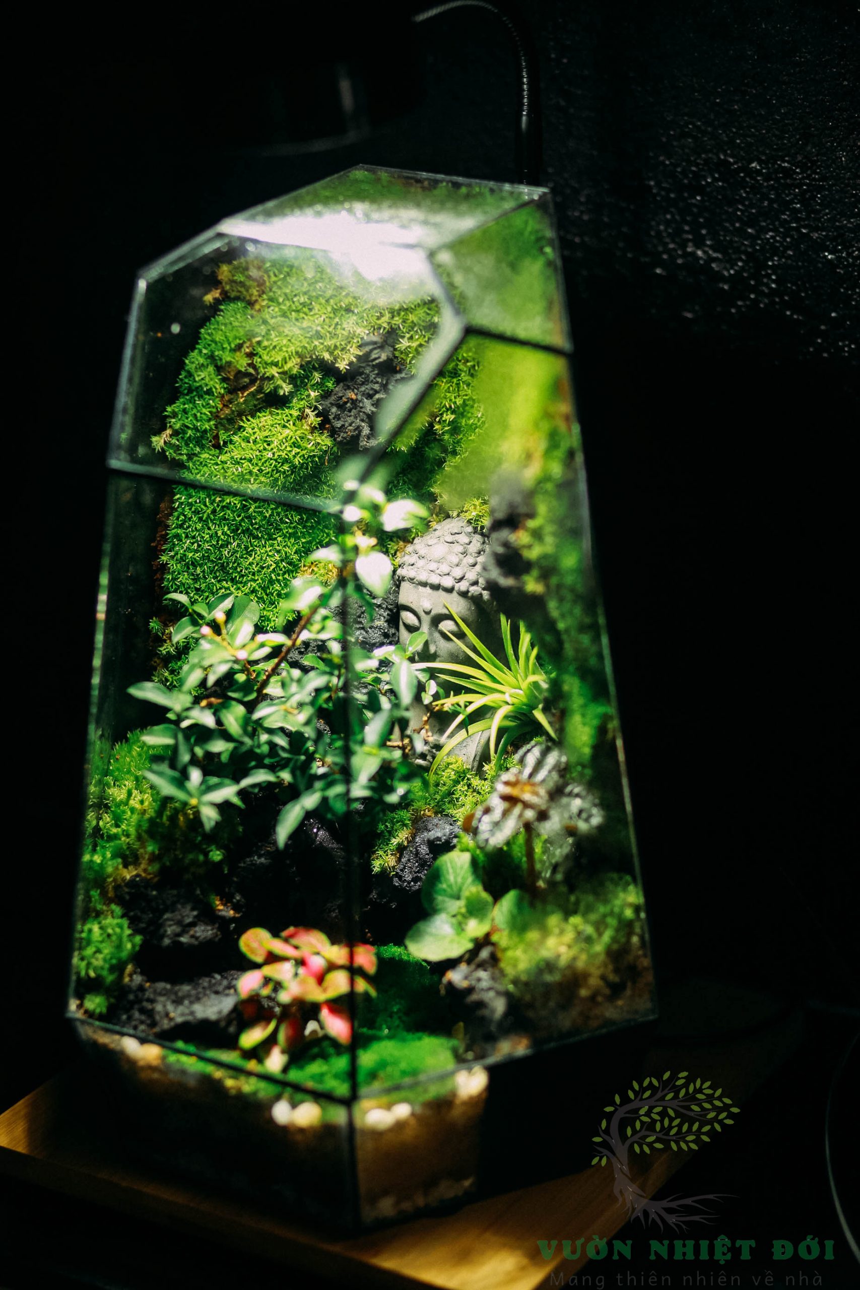 Ẩn Phật Tank 22x22x32cm