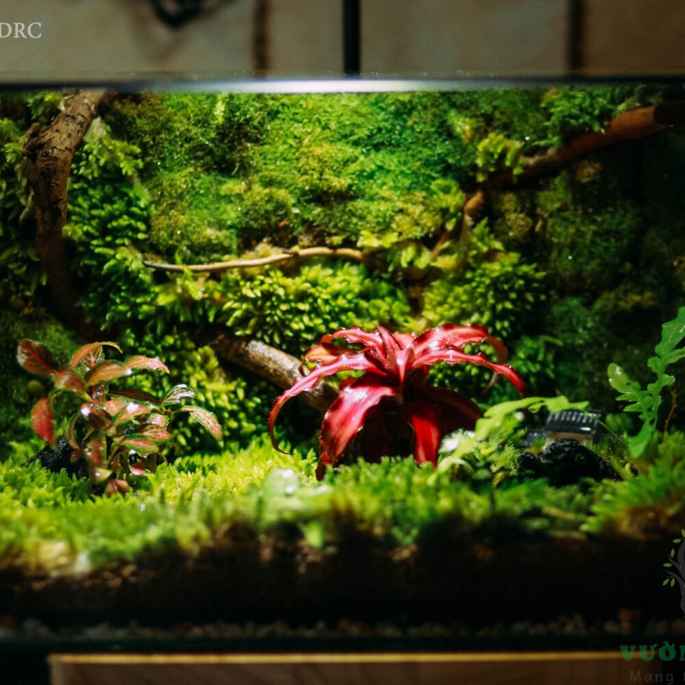 Natural 30x15x20cm