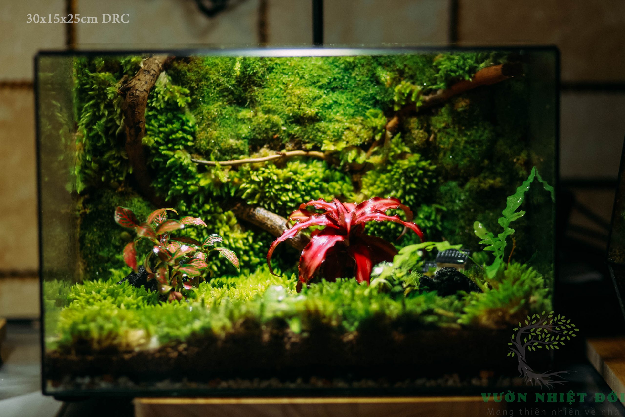 Natural 30x15x20cm