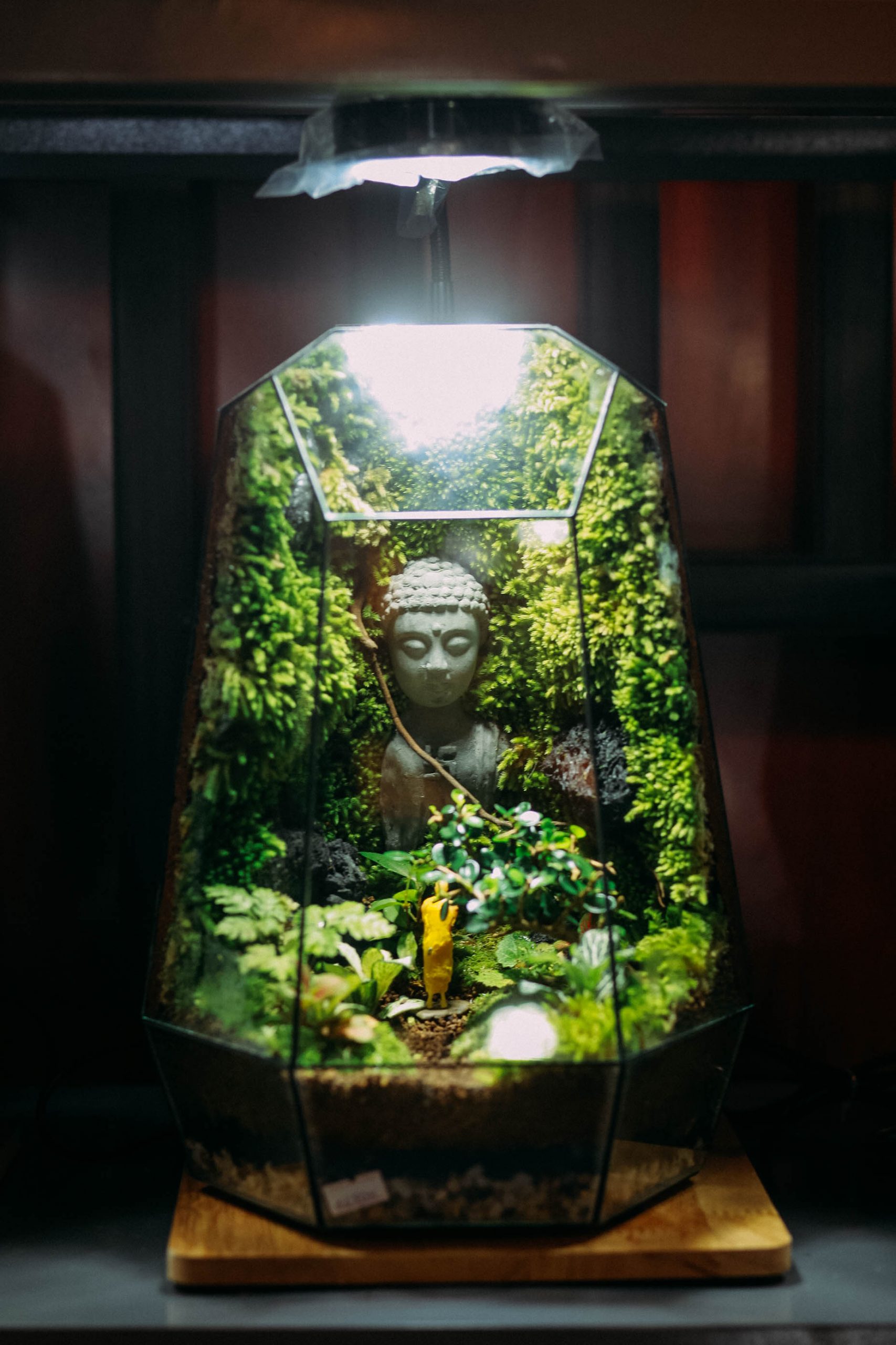 Bái Phật Tank 22x22x32cm