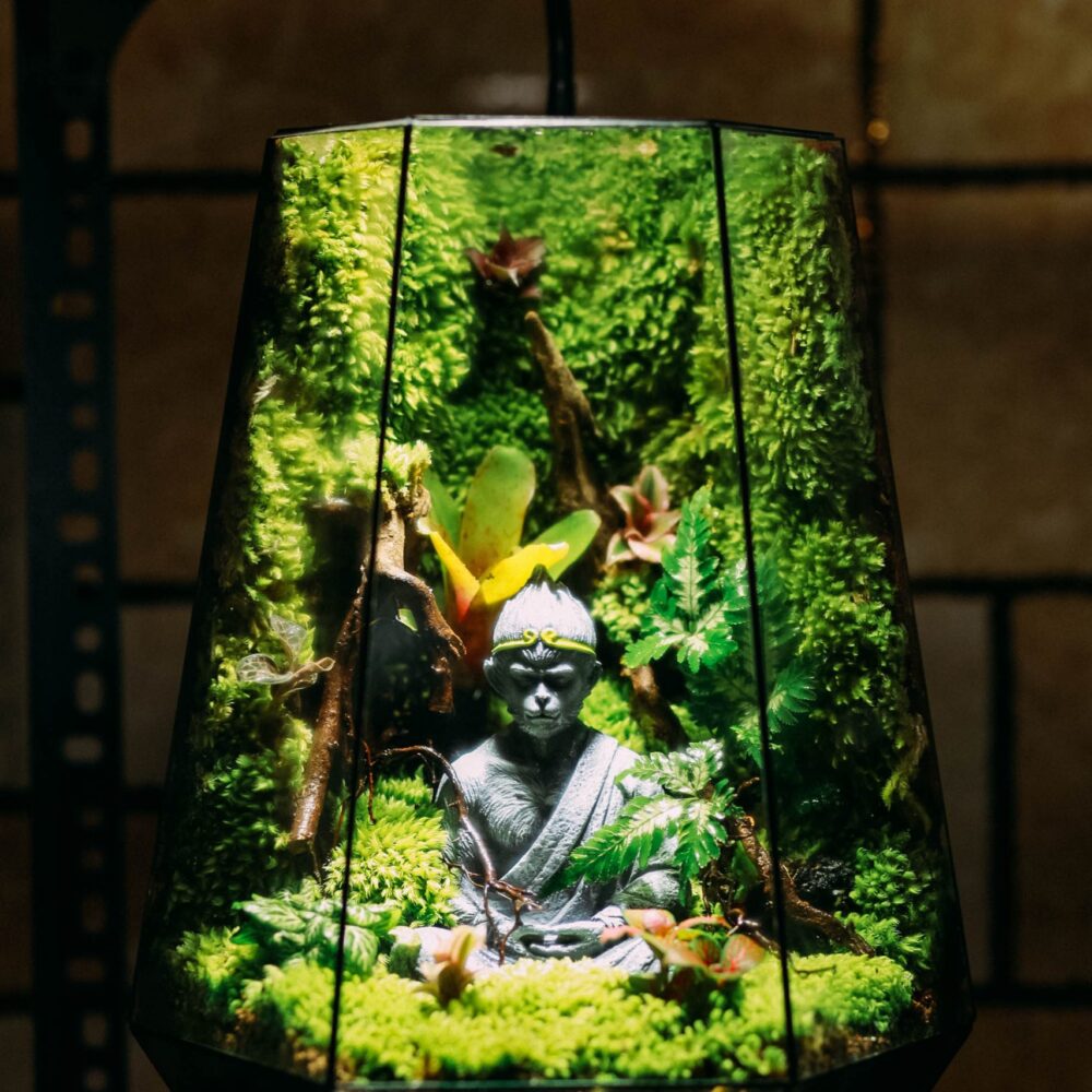 Wukong Tĩnh Lặng