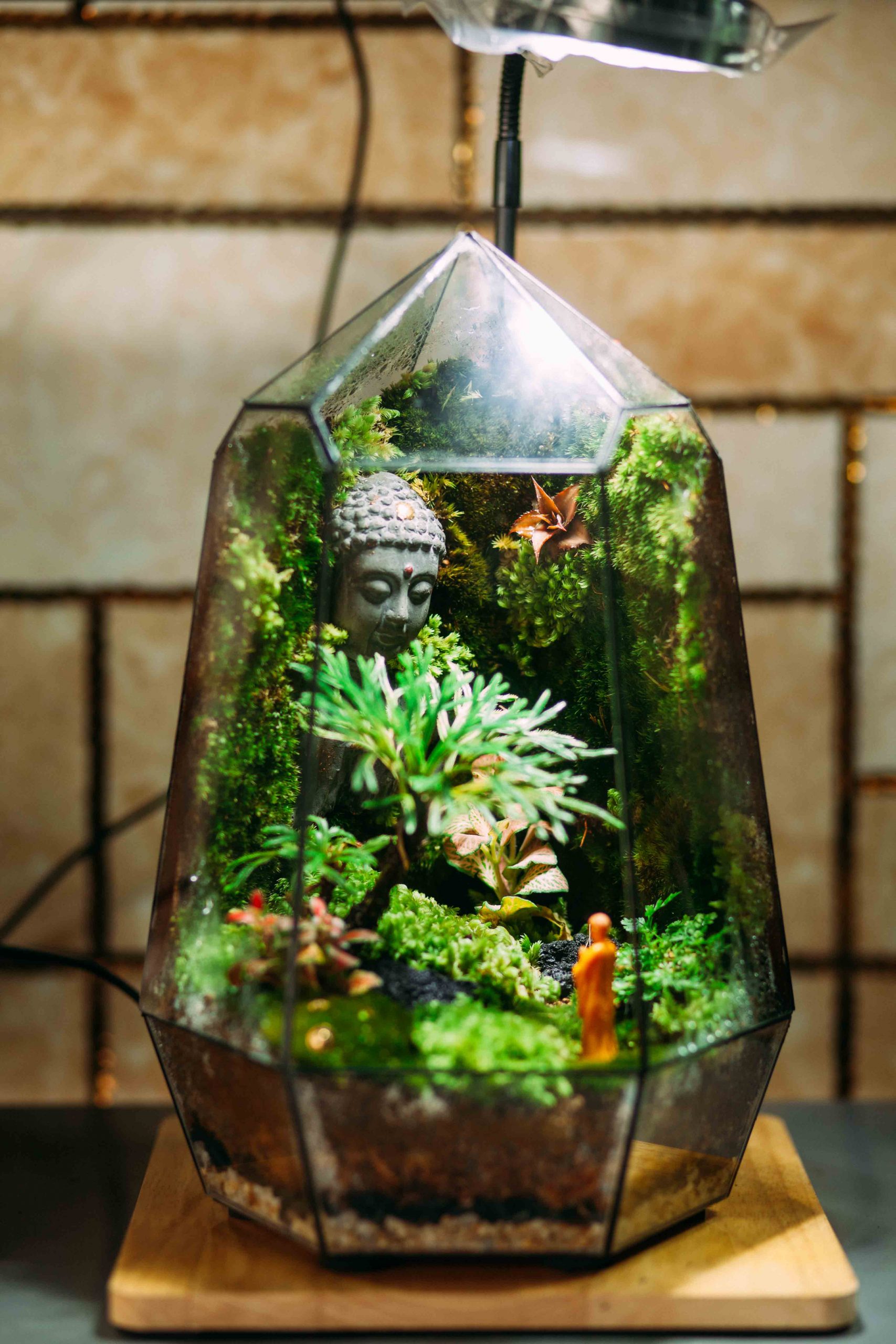Bái Phật Tank 20x20x32cm