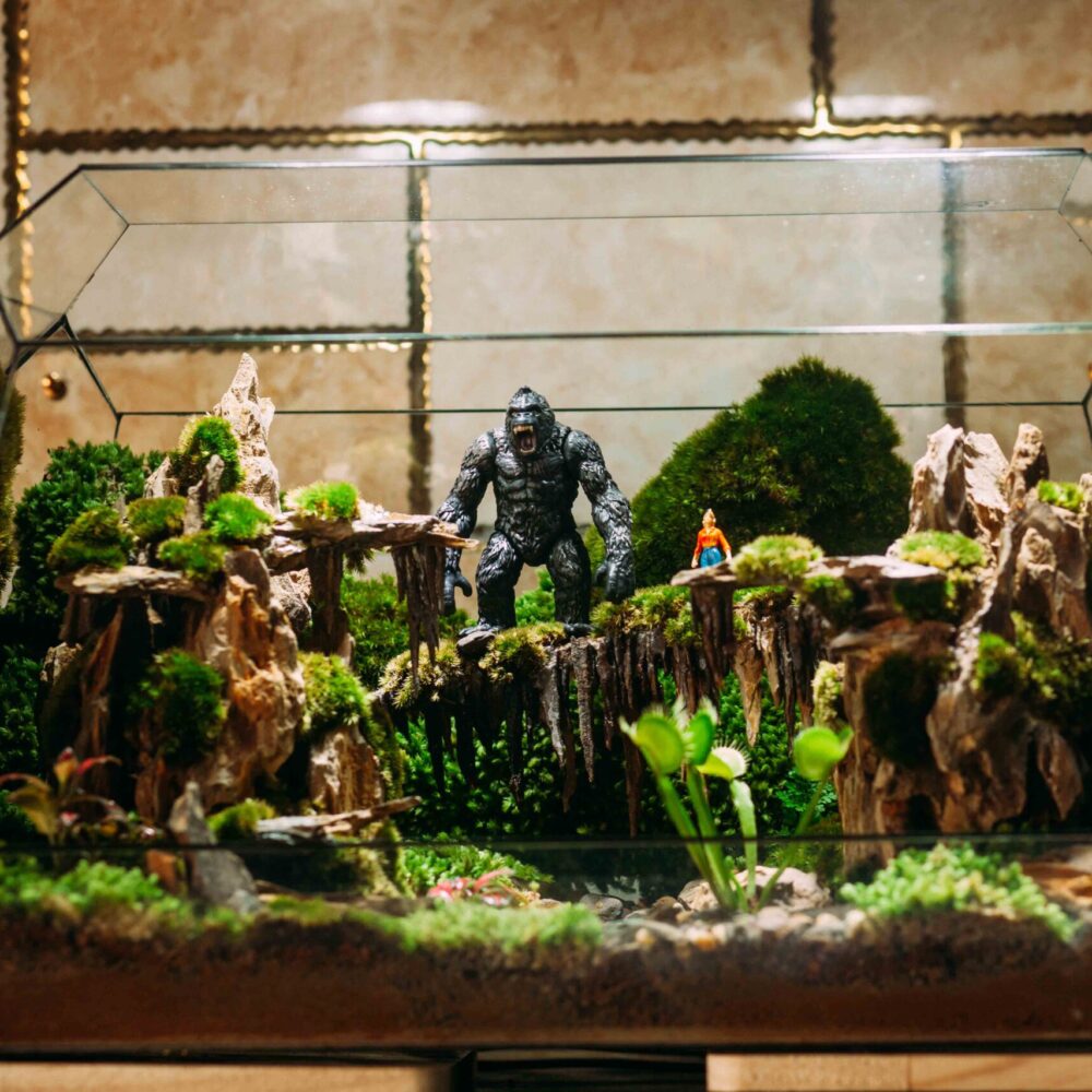 KONG Skull Island