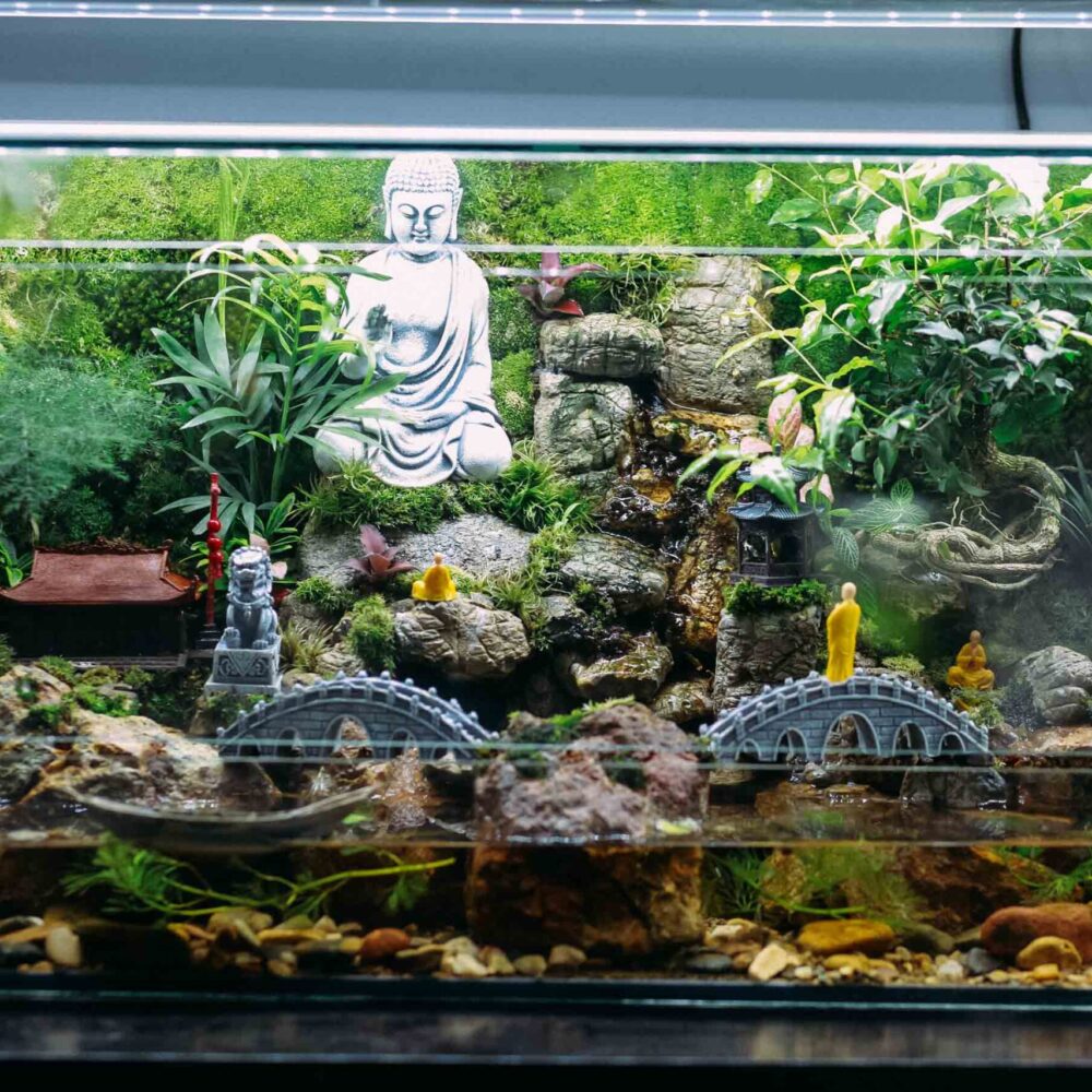 Tiểu Cảnh Phật Giáo