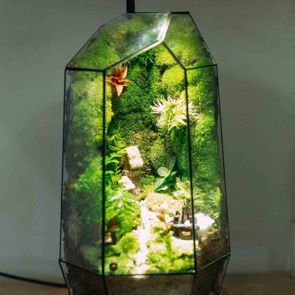 The Countrysite Tank 16x28cm