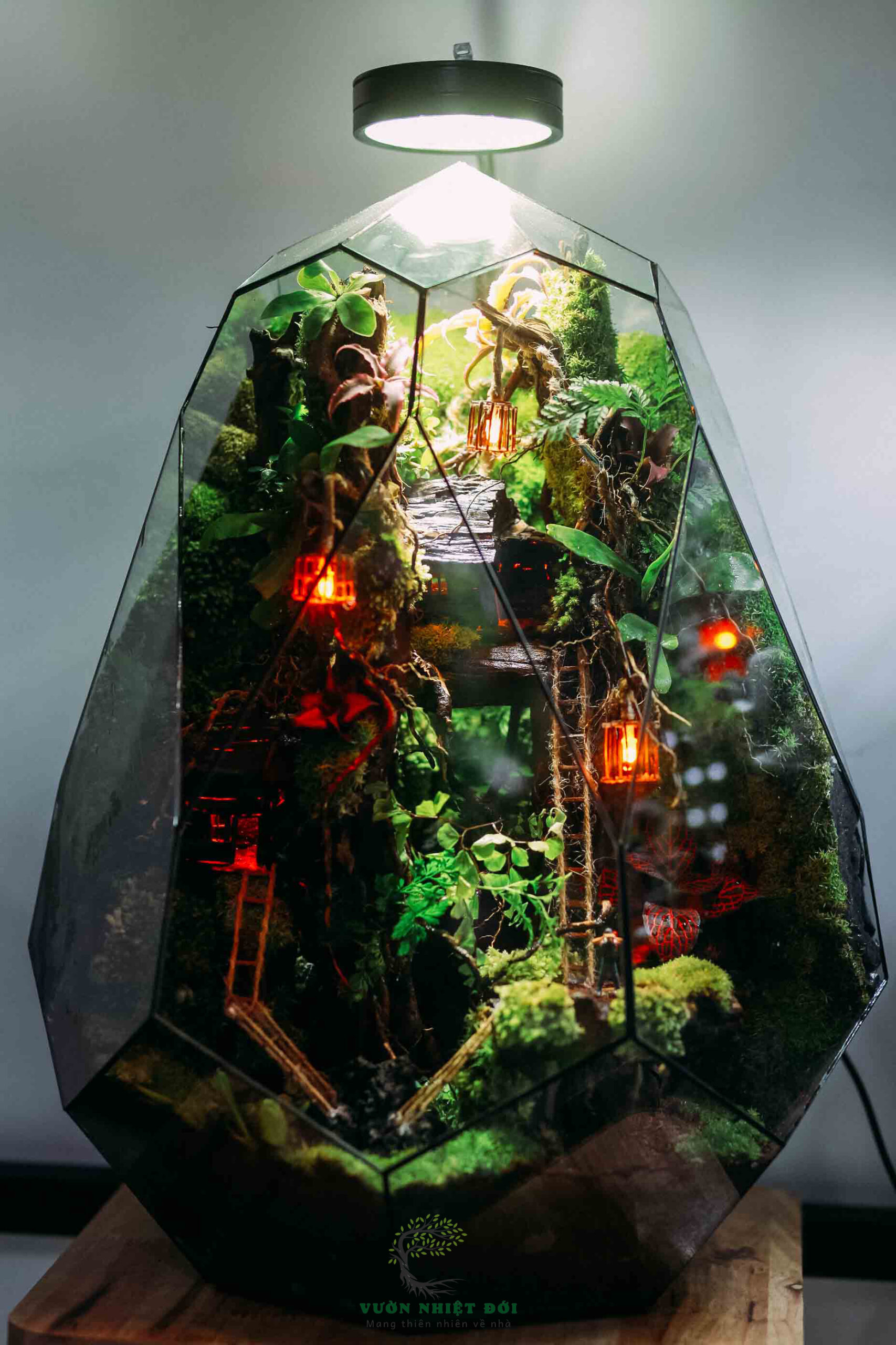 Wooden House On Tree 2