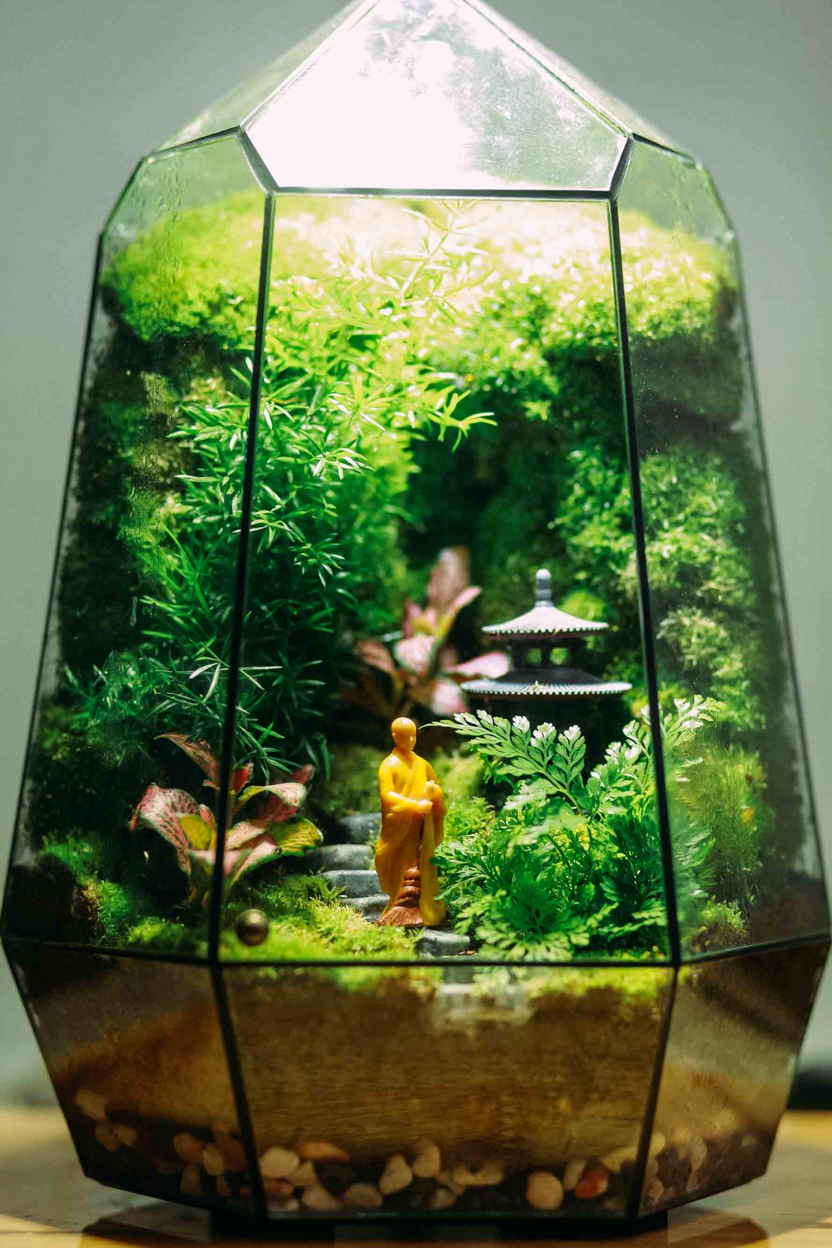 Bình Yên Trong Tâm