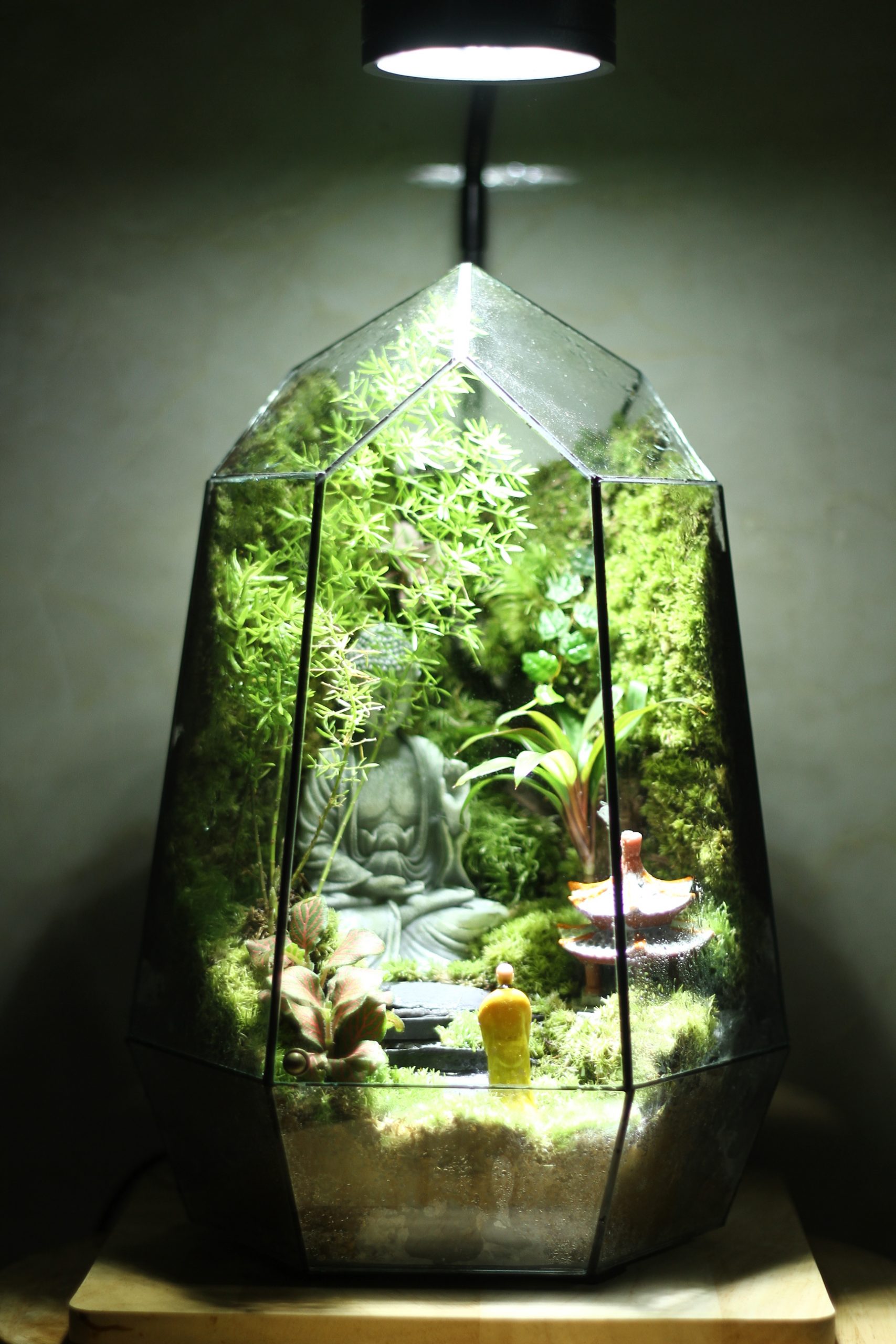 Chốn Tịnh Tâm 20x20x30cm