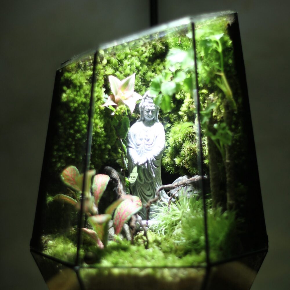 Bồ Tát đài sen