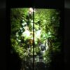 Rain in forest
