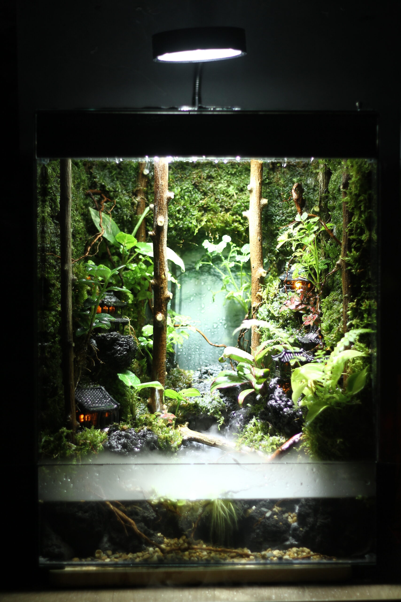 Cổ Trấn Trong Sương tank 30x20x40cm