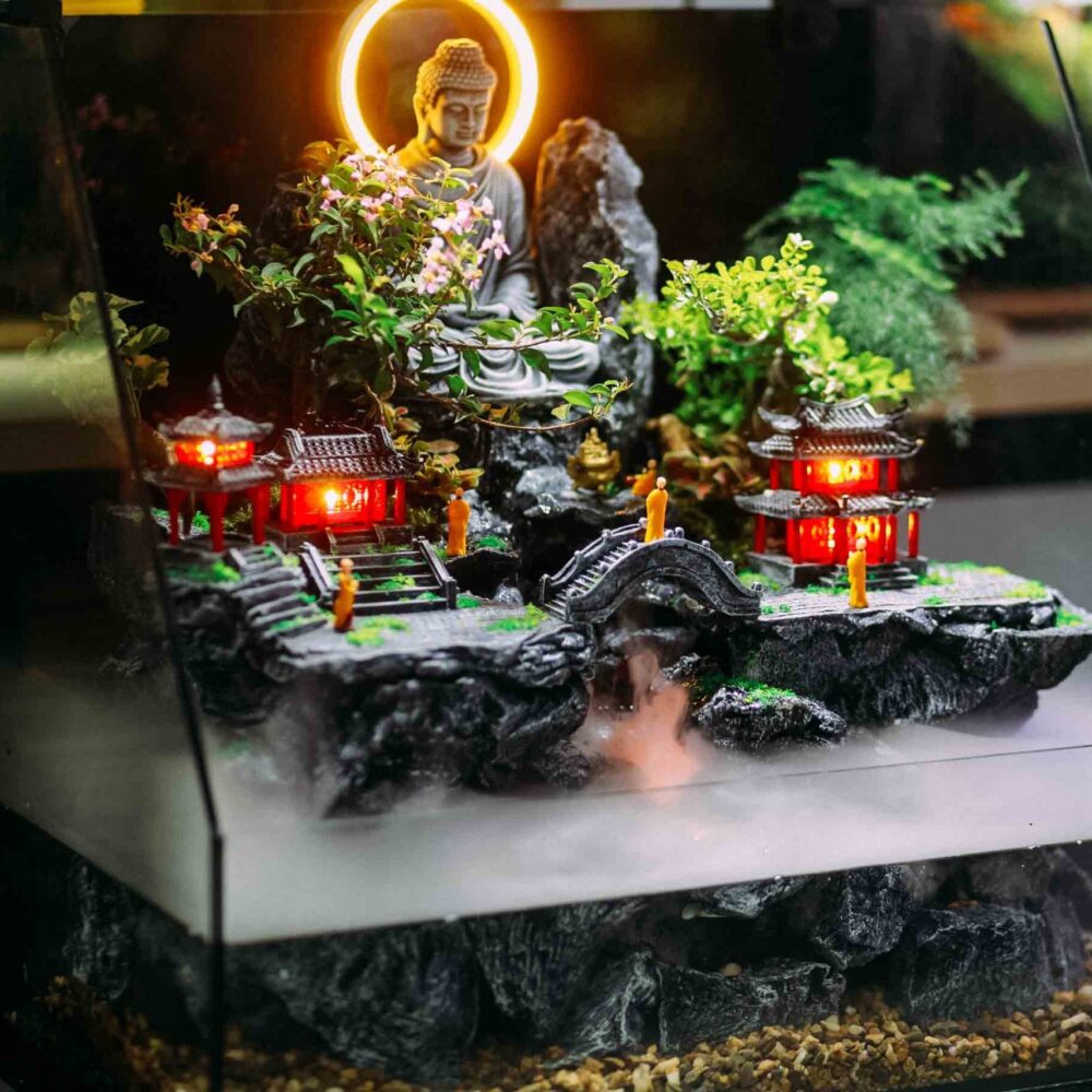 Tiểu Cảnh Thanh Tịnh