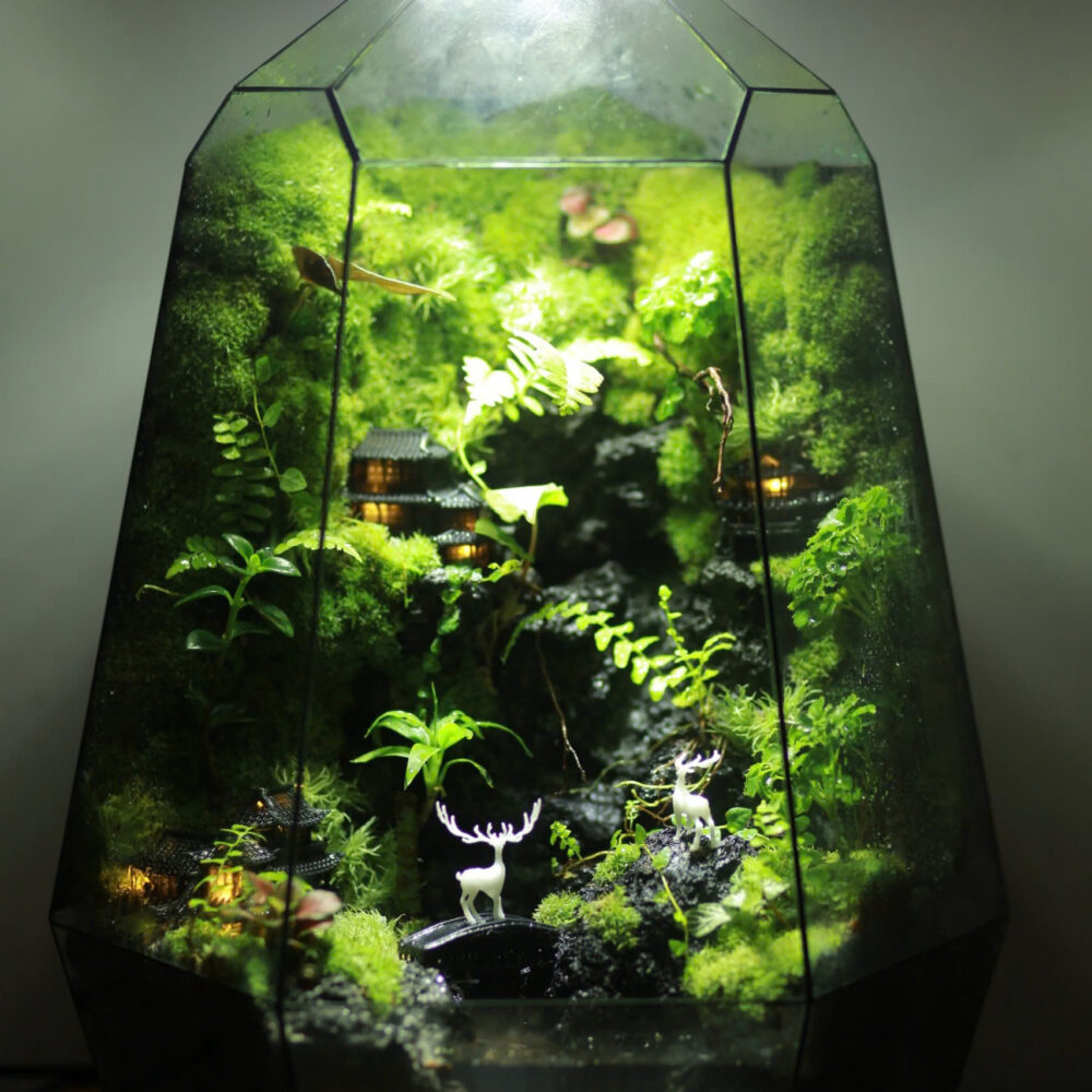 Blend into Nature(Paludarium 30x30x48cm)