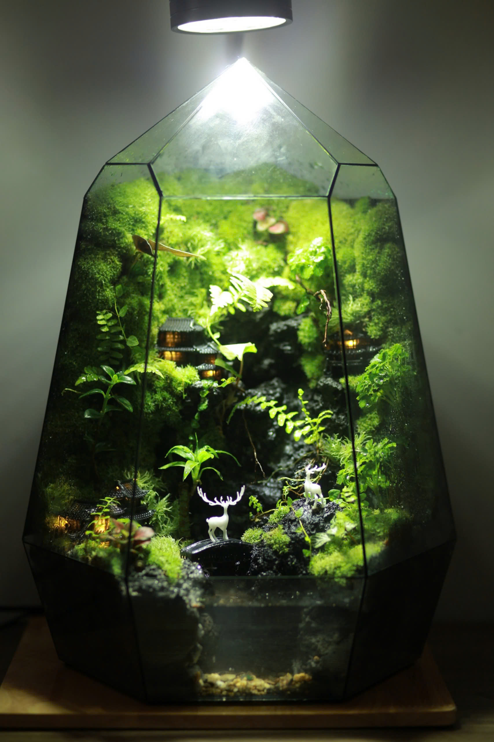 Blend into Nature(Paludarium 30x30x48cm)