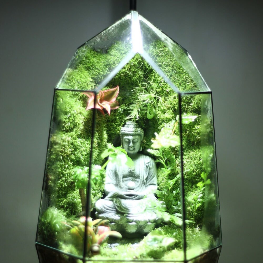 Phật Thiền Đài Sen