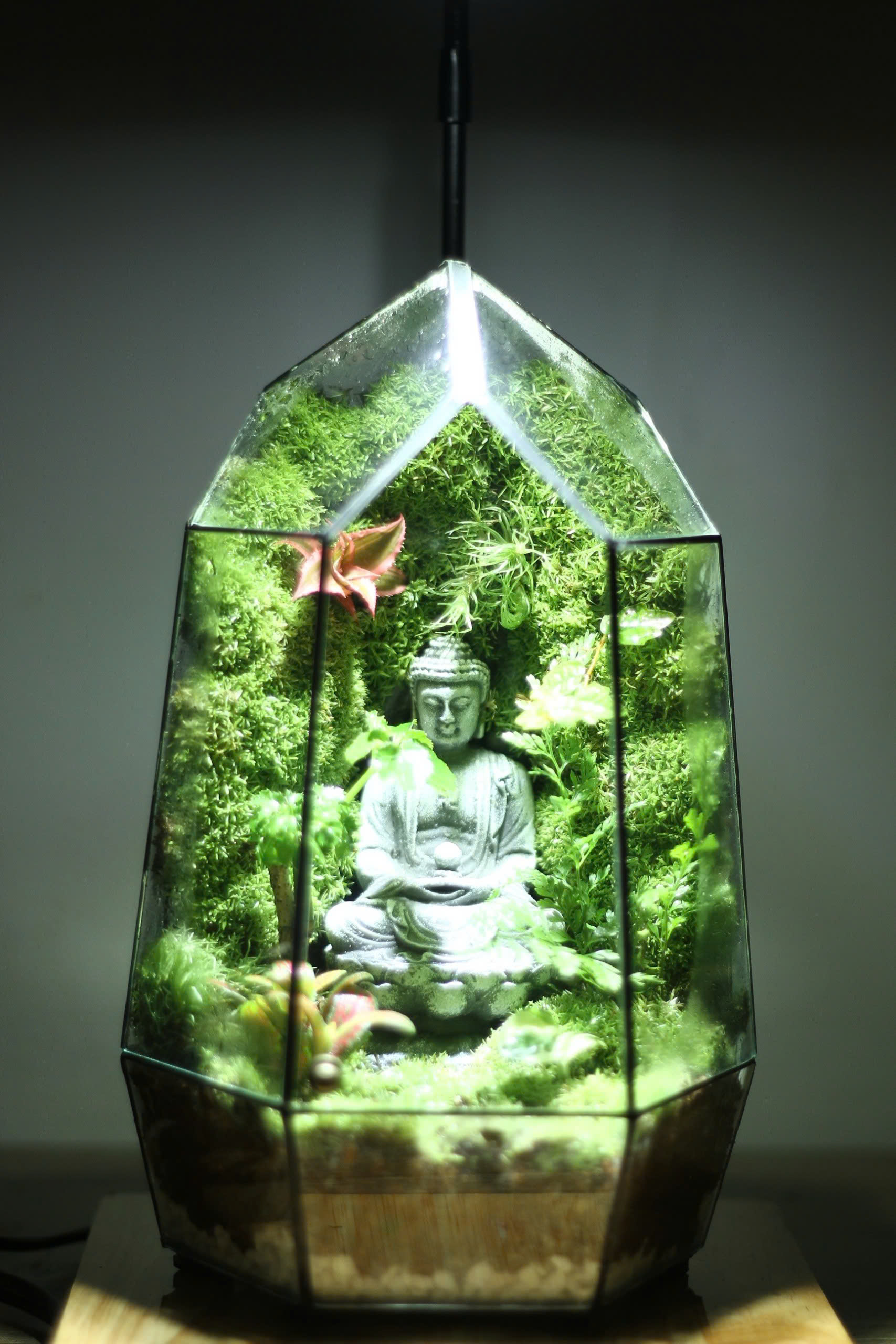 Phật Thiền Đài Sen