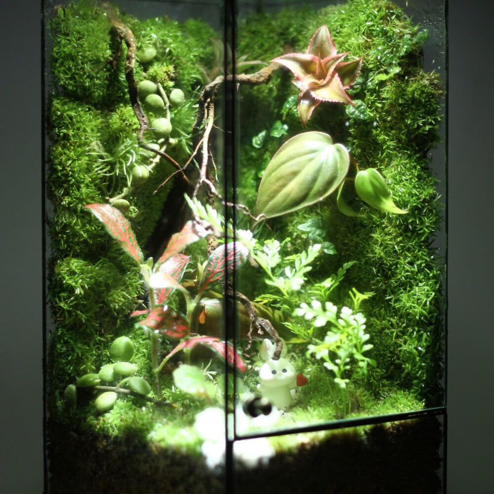 Natural tank 10x10x20cm