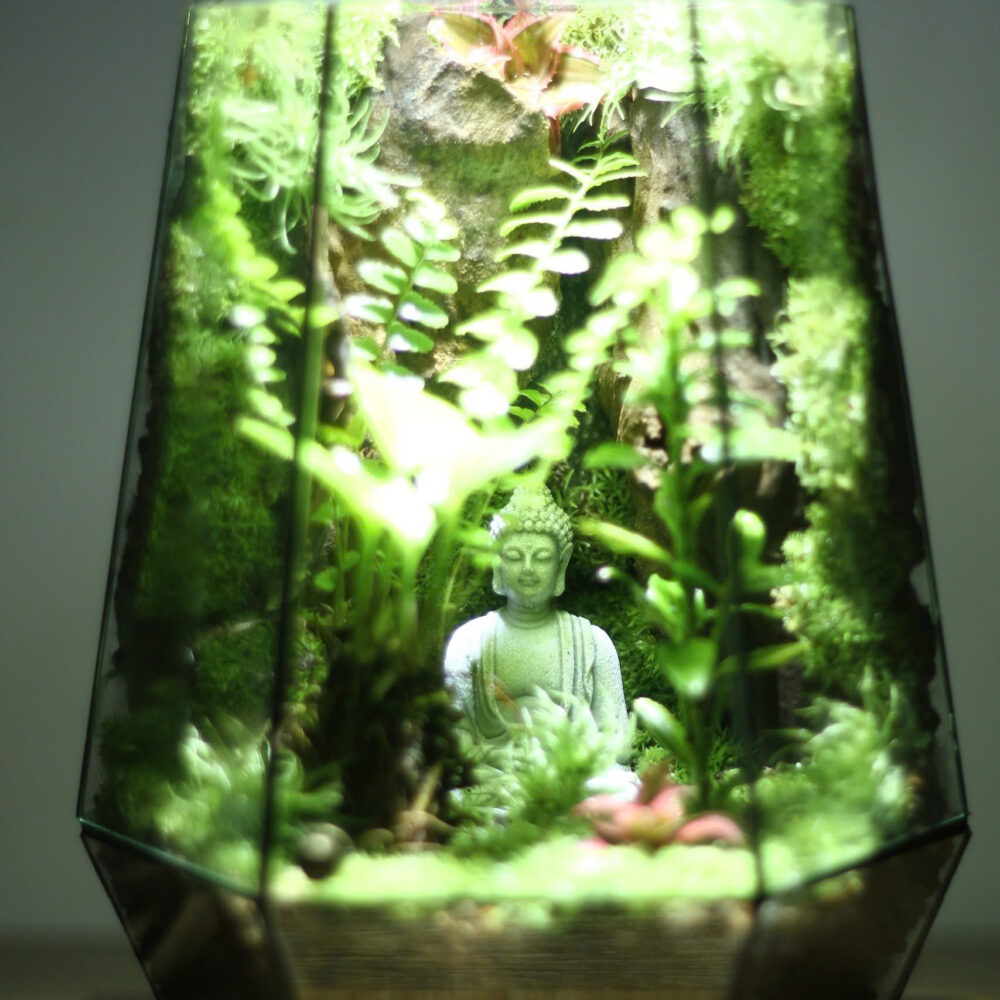 Phật thiền rừng sâu