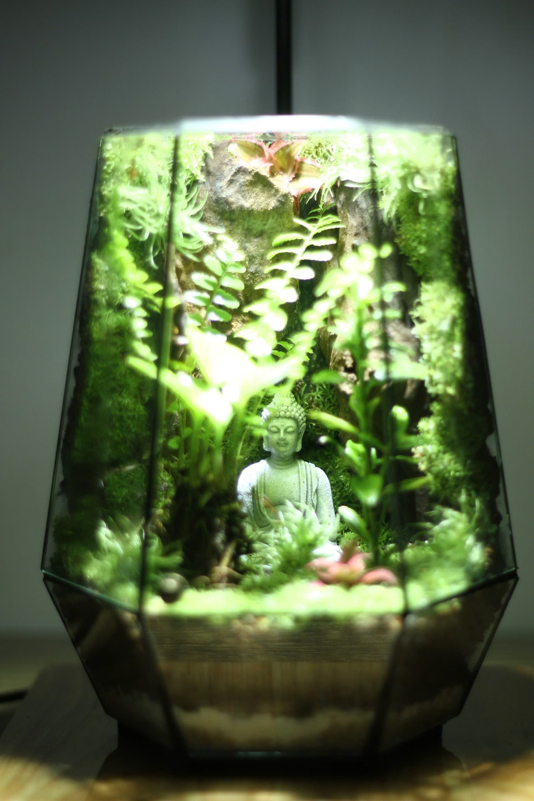 Phật thiền rừng sâu