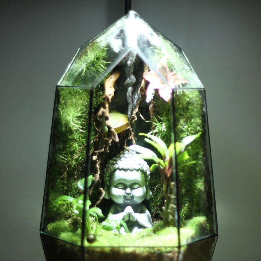 Chú Tiểu Tịnh Tâm