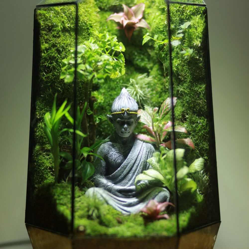 Wukong ngồi thiền