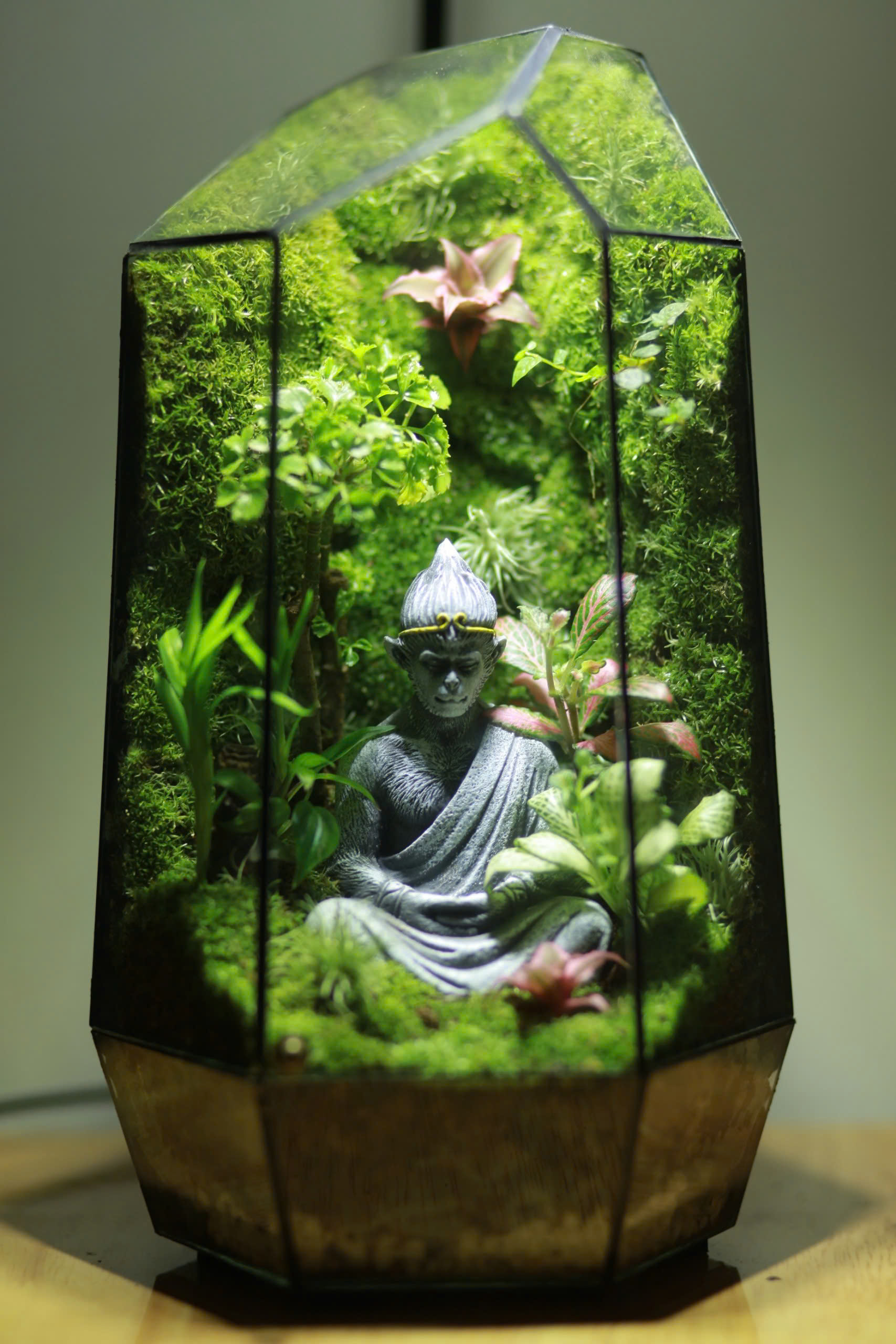 Wukong ngồi thiền
