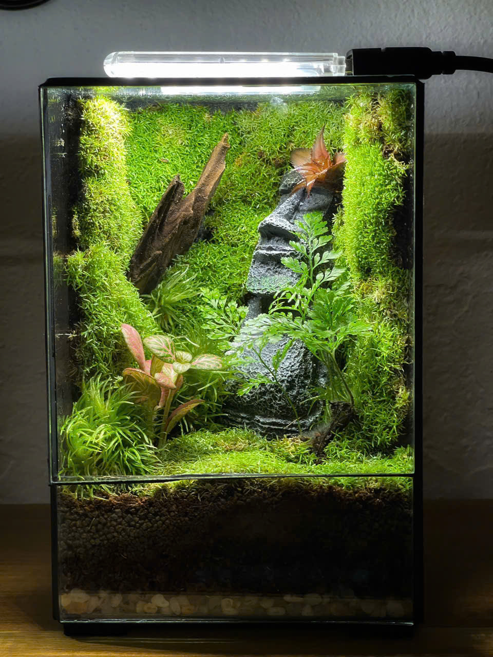 Moai ( Đảo Phục Sinh)