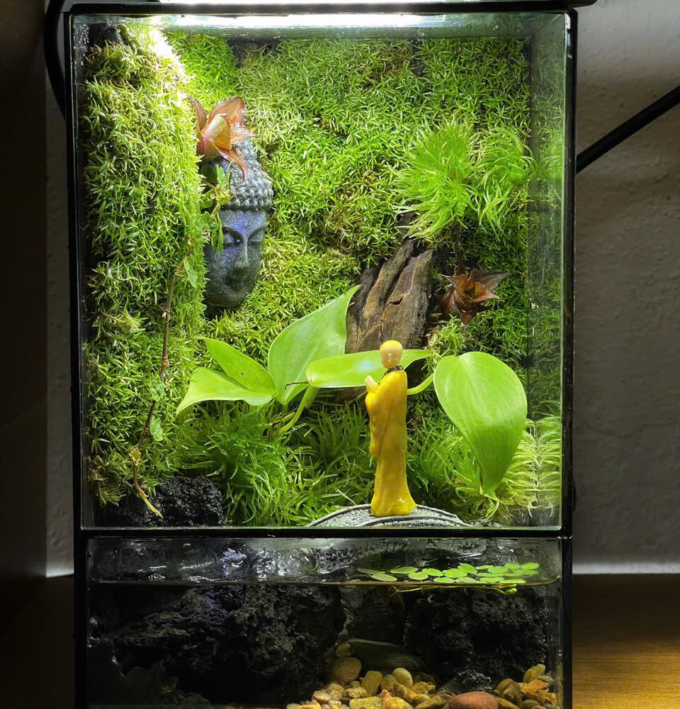 Bể Terrarium Mini Có Tượng Tiểu Cảnh
