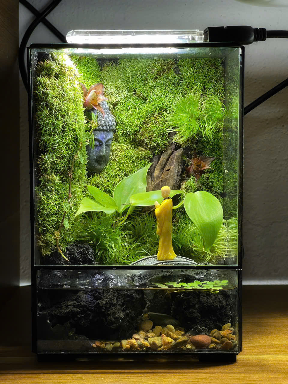 Bể Terrarium Mini Có Tượng Tiểu Cảnh