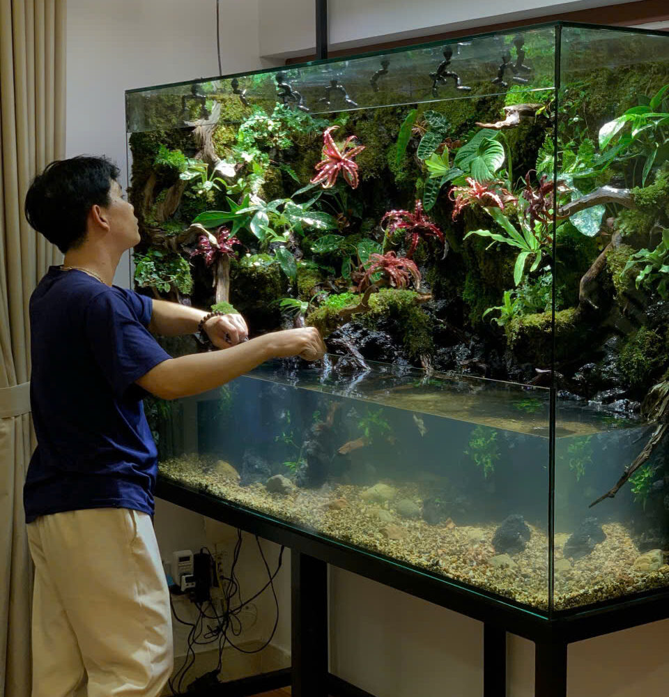 Bể Paludarium Rừng Nhiệt Đới Size 160x50x120cm