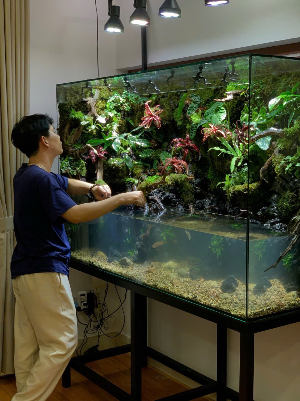 Bể Paludarium Rừng Nhiệt Đới Size 160x50x120cm