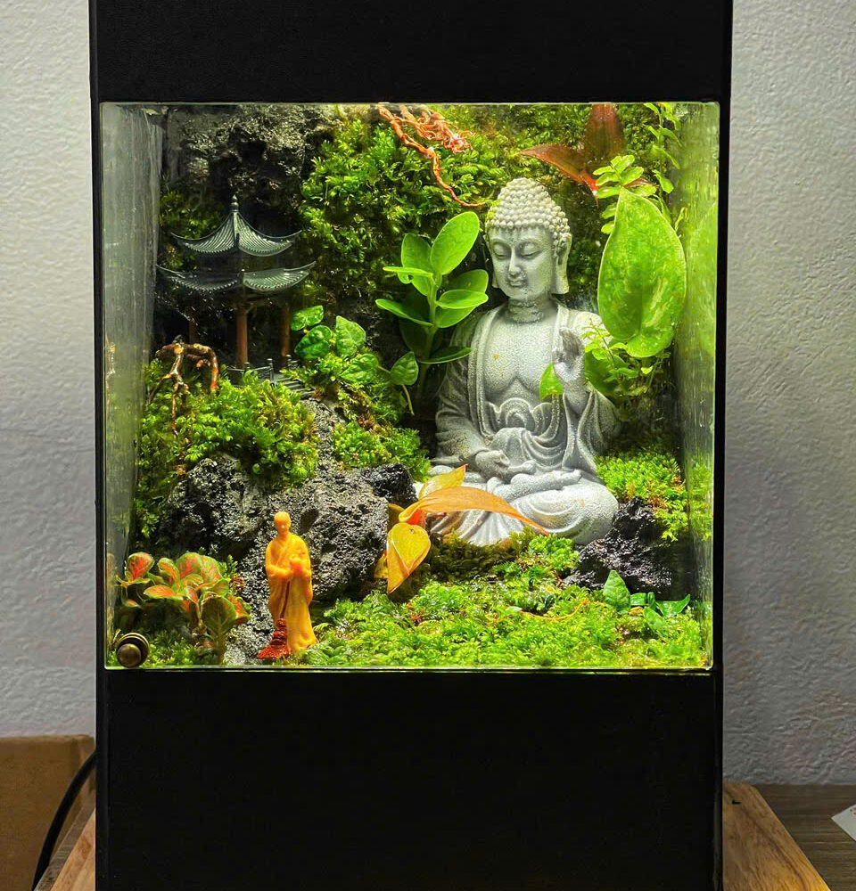 Mưa rơi cửa phật 15x15x28cm