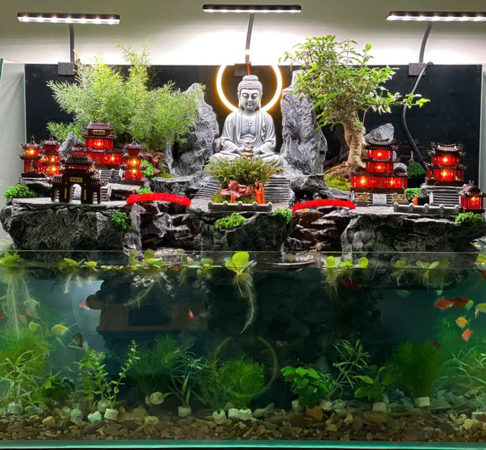 Tiểu Cảnh Tịnh Tâm 1met