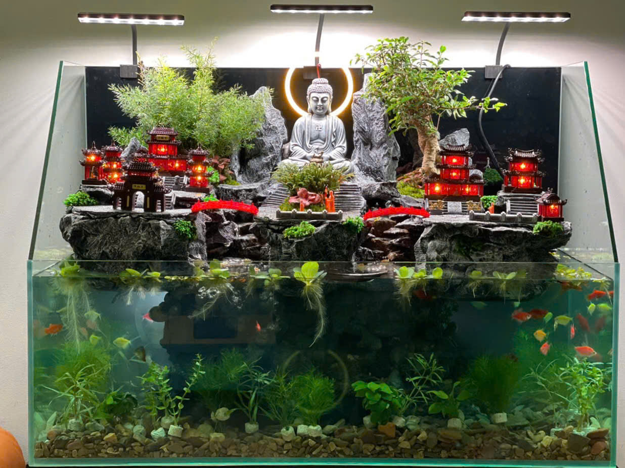 Tiểu Cảnh Tịnh Tâm 1met