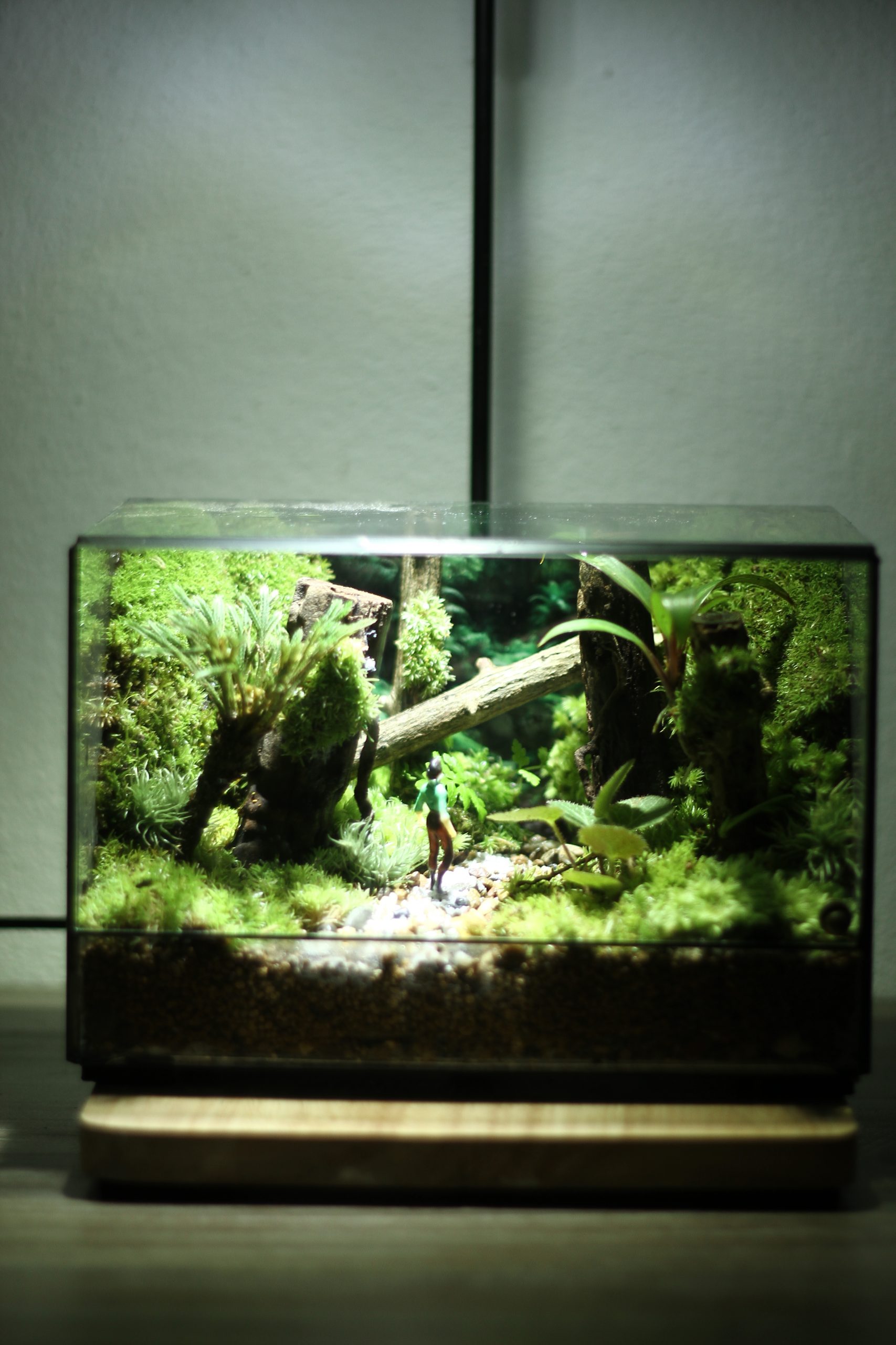 Lost in deep forest mini 2
