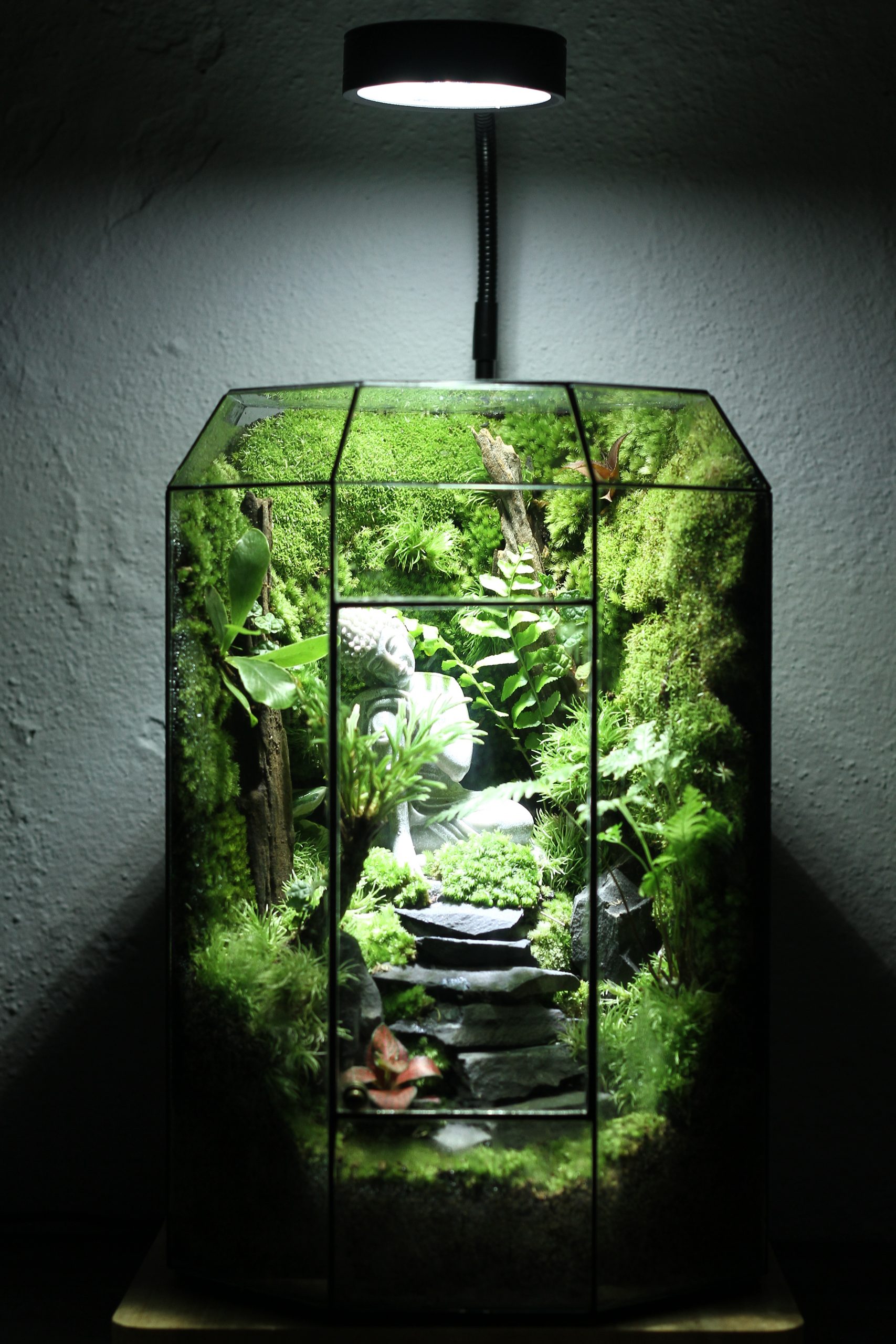 An Nhiên Tự Tại Tank 20x20x30cm