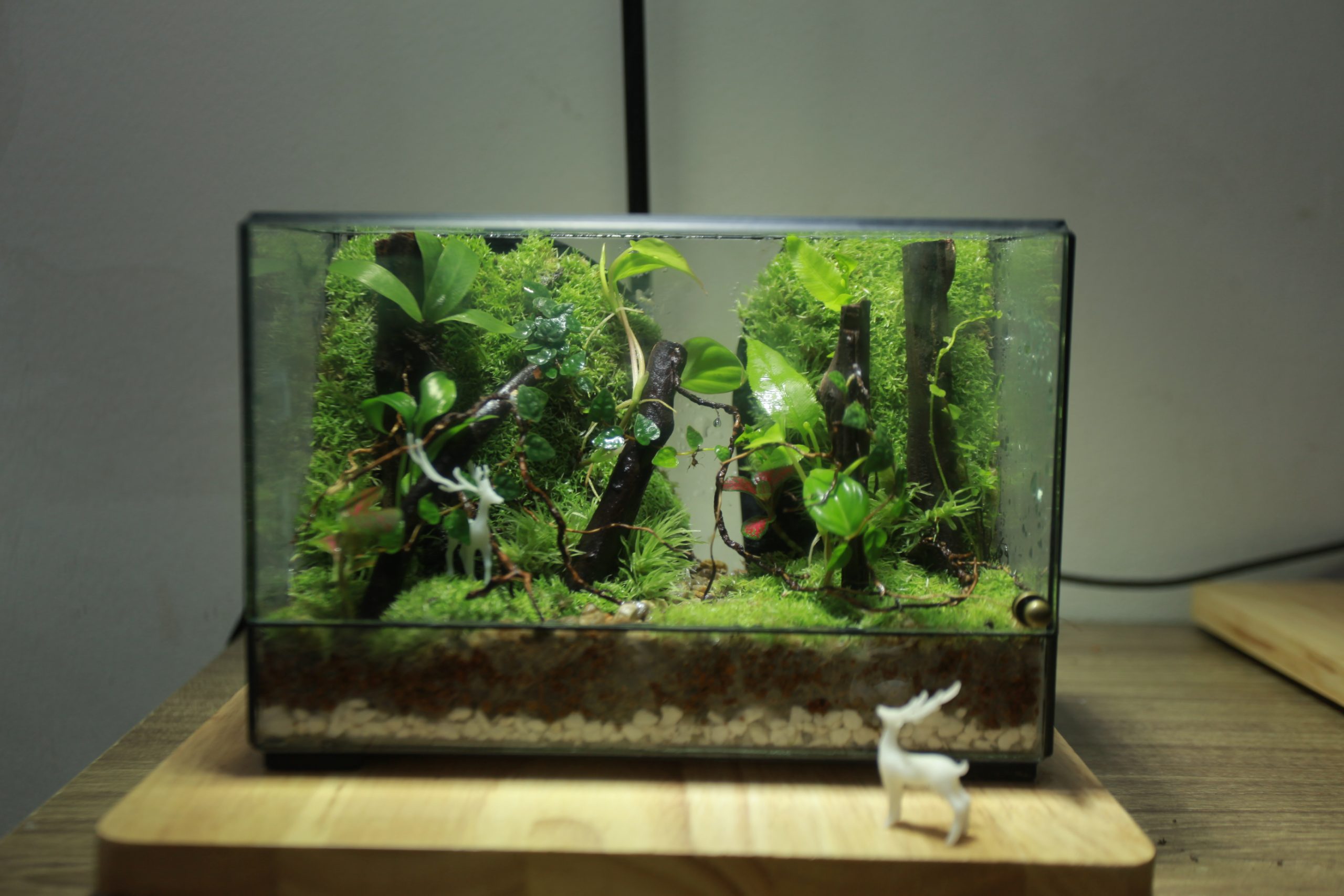Góc Rừng MiNi 18x10x12cm